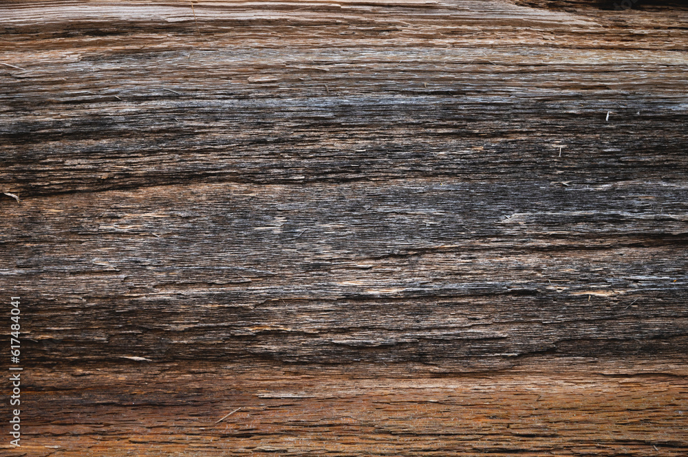 Embossed texture of the bark of oak. Panoramic photo of the oak texture Embossed texture of the bark of oak. Panoramic photo of the oak texture