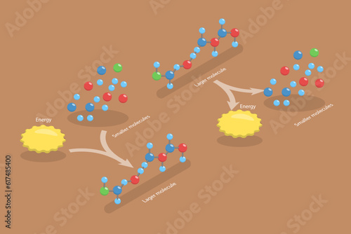 3D Isometric Flat Vector Conceptual Illustration of Anabolic Vs Catabolic Reaction, Educational Diagram