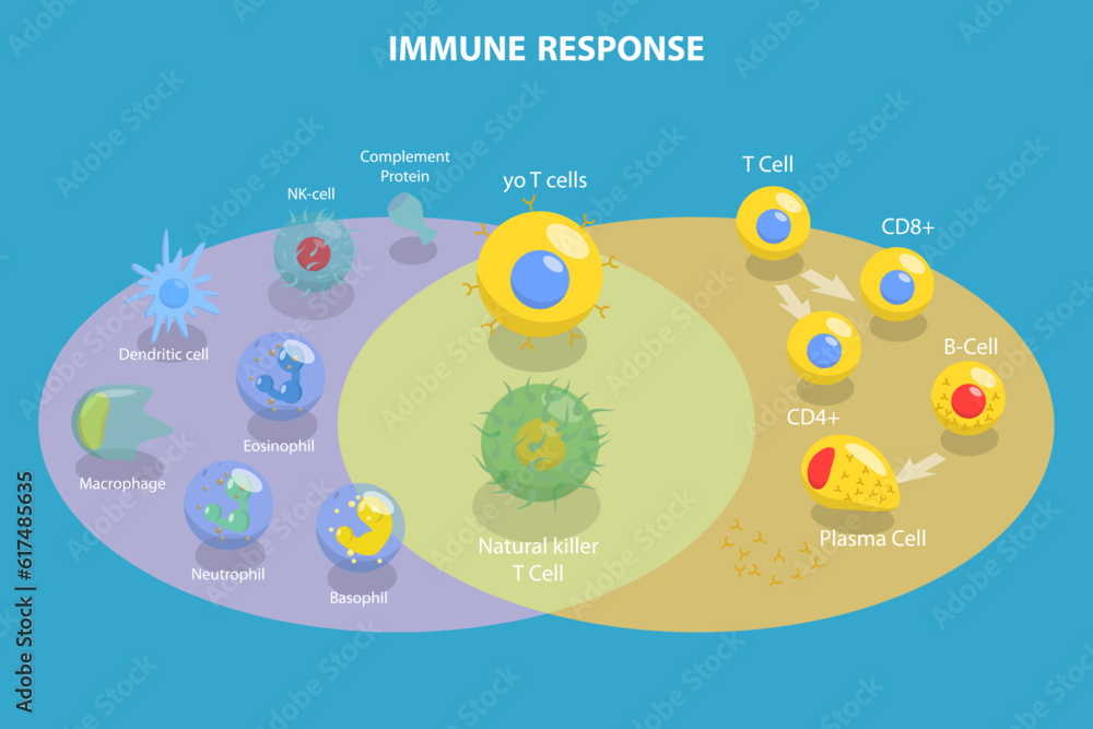 3D Isometric Flat Vector Conceptual Illustration of Immune Response, Cells of The Immune System - obrazy, fototapety, plakaty 