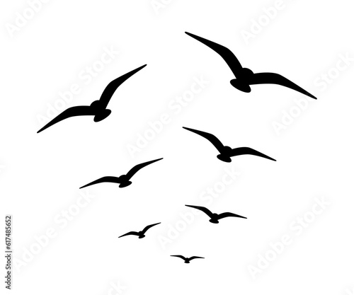 Flock of birds flying in the sky on a white background