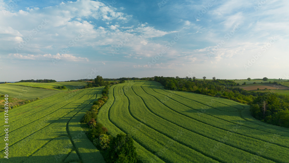 View of green farmland.