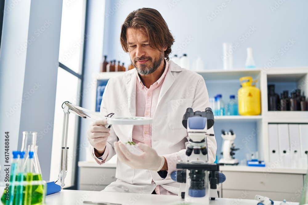 Middle age man scientist looking plant with loupe at office Middle age man scientist looking plant with loupe at office