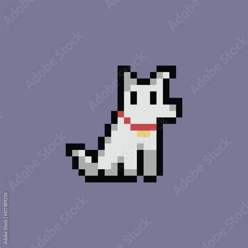 this is Dog in pixel art with simple color with purple background this item good for presentations,stickers, icons, t shirt design,game asset,logo and your project.