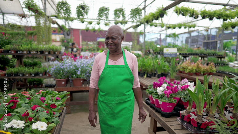 A happy Brazilian Senior Employee in Green Apron Strolling Through a Vibrant Flower Shop smiling