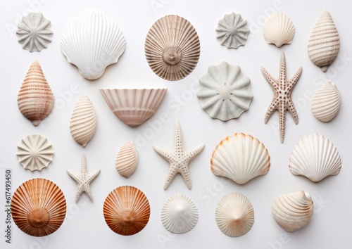 set of seashells on white background  AI generative