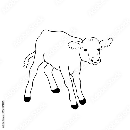 Vector isolated one single cute cartoon standing baby cow calf  colorless black and white contour line easy drawing