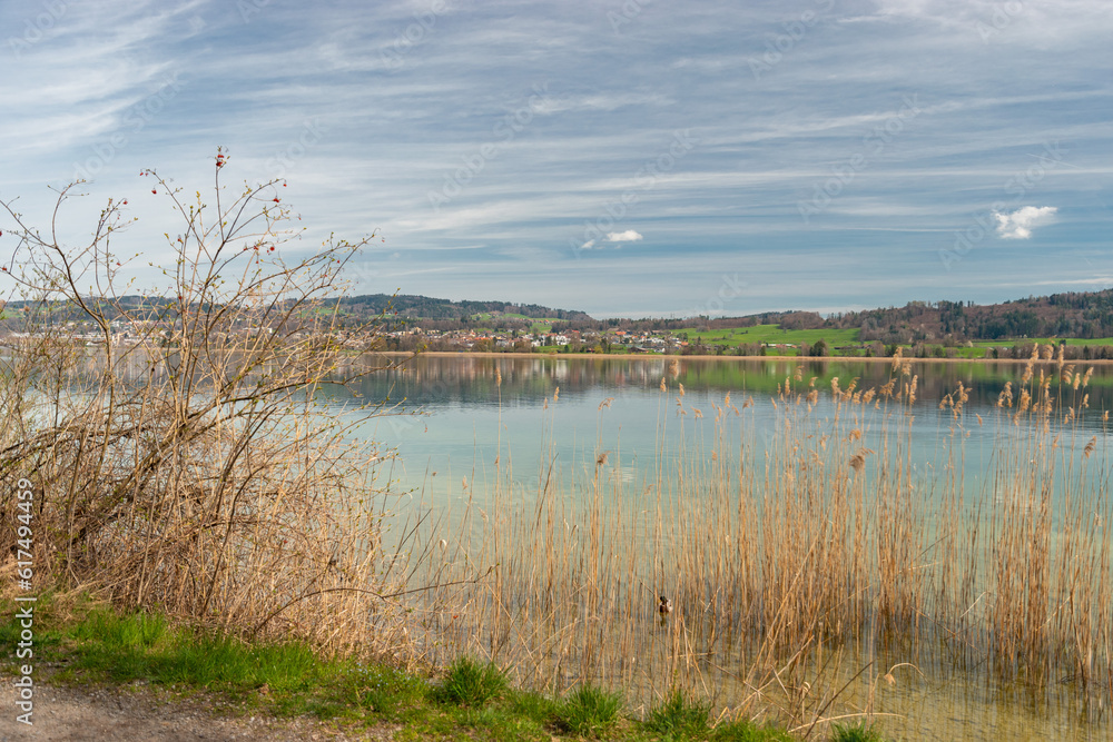 Beautiful lake Pfaeffikersee in Zurich in Switzerland