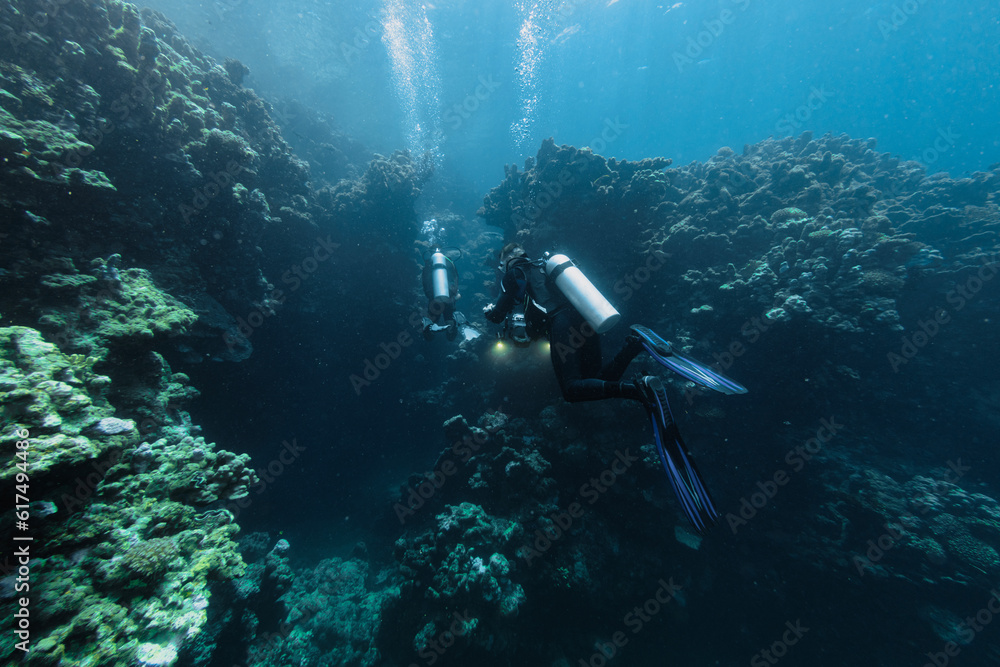 Divers exploring the coral reefs in Egypt. Divers exploring the coral reefs in Egypt.