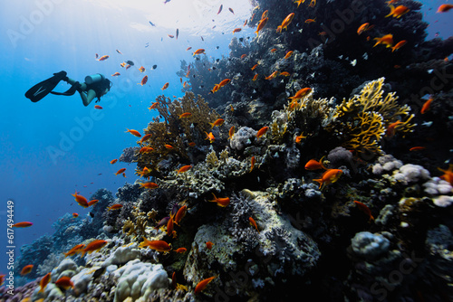 Diver exploring the coral reefs in Egypt.