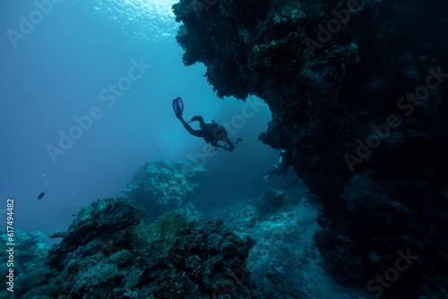 Scuba diver swimming at reef, Red sea, Egypt.