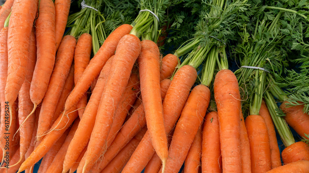 Vivid bunch of carrots at the market Vivid bunch of carrots at the market