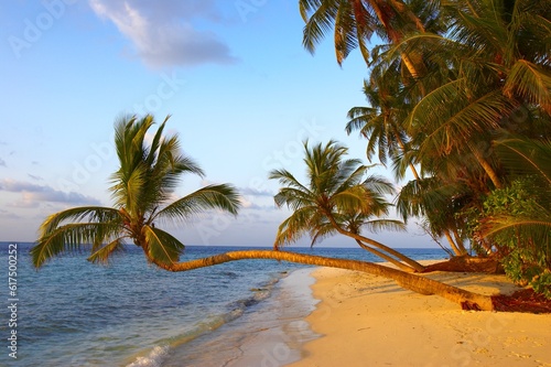 Fototapeta Naklejka Na Ścianę i Meble -  FANTASTIC SUNSET BEACH WITH PALM TREES IN INDIAN OCEAN, MALDIVE ISLAND, FILITEYO
