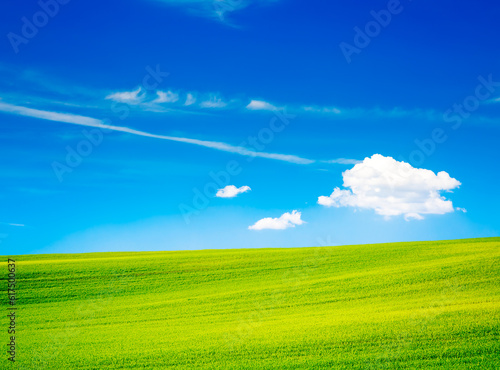 Wavy Green Field on the Background of Beautiful Blue Sky and White Clouds. Countryside Landscape in Summer. Peaceful and Calm Scenery. Toned Photo with Copy Space.