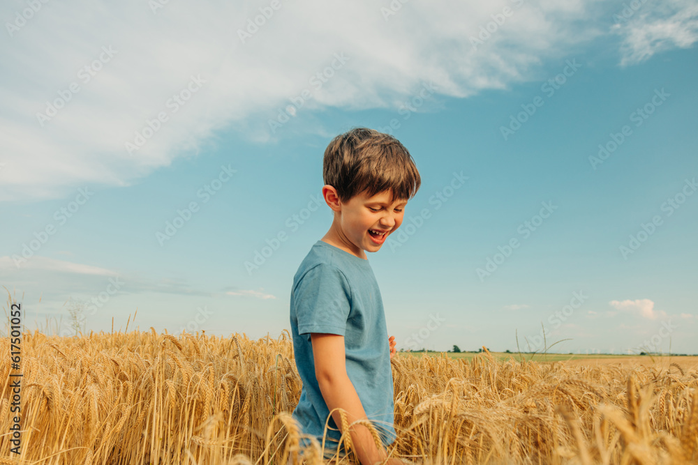 Little boy in blue shirt in yellow wheat field in summer time Little boy in blue shirt in yellow wheat field in summer time
