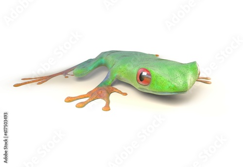 red eyed tree frog from tropical rainforest of Costa Rica isolated on white. Beautiful green and blue treefrog is an exotic animal from the rain forest. 3d render