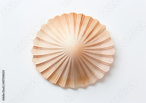 shell isolated on white, AI generative