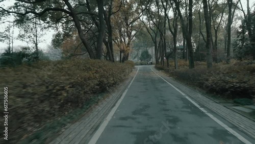 Wallpaper Mural Camera Gliding Through the Green Park 4K Footage Torontodigital.ca