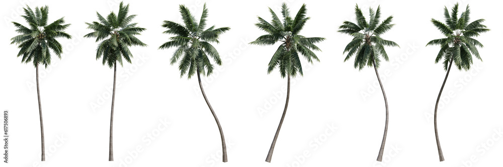 Fototapeta premium set of green trees isolated on transparent or white background