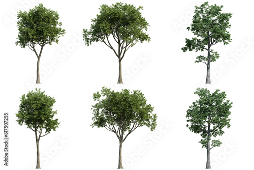 set of green trees isolated on transparent or white background