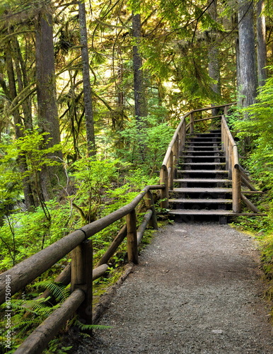 Wooden staircase on a pedestrian trail in the Capilano River Park