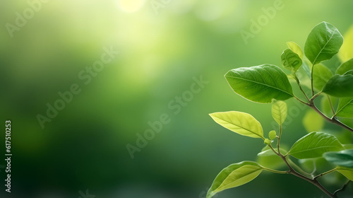 Green leaf for nature on blurred background with beautiful bokeh and copy space for text Generative AI