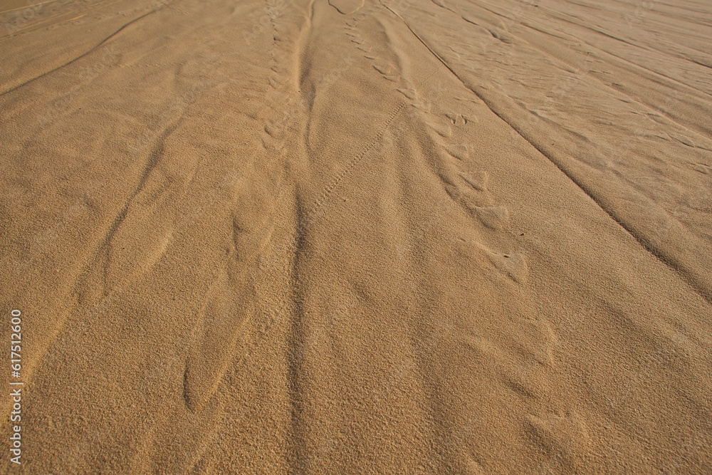 Fototapeta premium Desert Sand Pattern at Abqaiq Dammam Saudi Arabia.