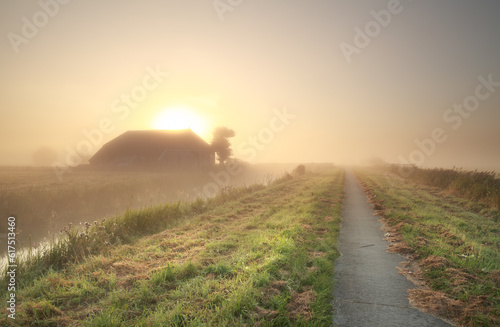 farmland at misty sunrise, Netherlands