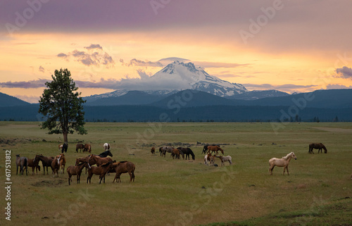 Horses Grazing in Front of Mount Jefferson Sunset  Oregon