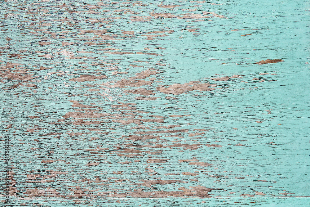 Texture of ancient wood with cracked paint of blue color Texture of ancient wood with cracked paint of blue color