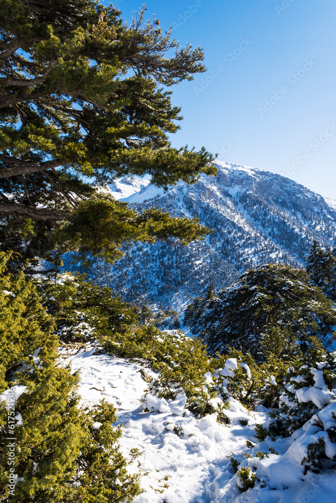 Ziria mountain covered with snow on a winter day, Korinthia, South Peloponnese, Greece. Ziria is one of the snowiest mountains in Peloponnese (2,374m). Ziria mountain covered with snow on a winter day, Korinthia, South Peloponnese, Greece. Ziria is one of the snowiest mountains in Peloponnese (2,374m).