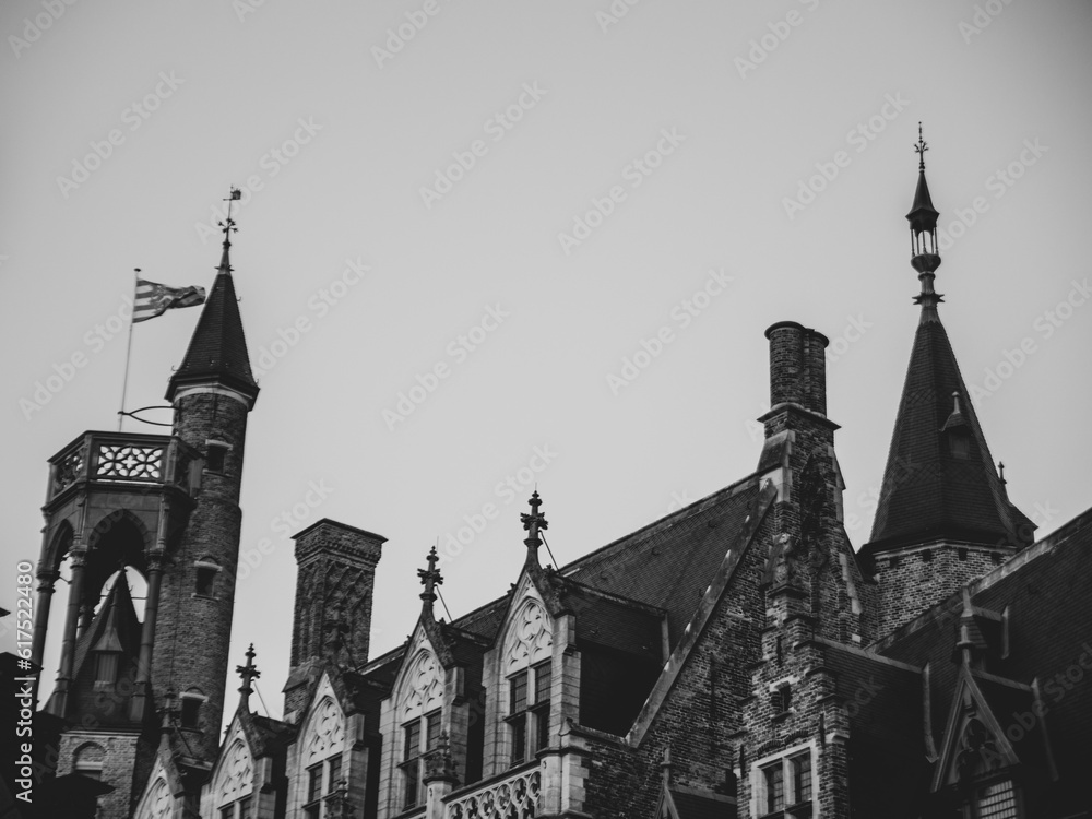 Fototapeta premium roof