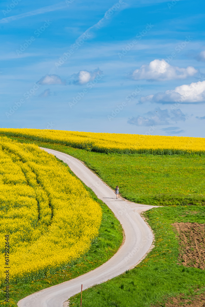 Obraz premium landscape with yellow rapeseed field