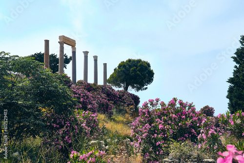 Columns of Temple of Astarte (Venus). Collonade at ancient city of Byblos. Bushes of Oleander Nerium opposite ruins of Byblos at background. Jbeil, Lebanon. UNESCO World heritage site