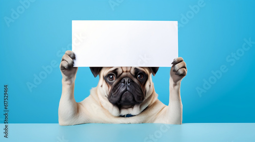  dog holding in his paws over his head an empty paper poster with copy space