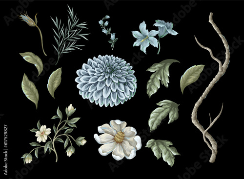 Dahlia,magnolia,branches and leaaves isolated. Vector. photo