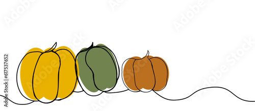 Ripe pumpkins of different colors in line art style, banner with copy space on white background, concept of happy halloween, autumn harvest, halloween. Design of advertisements, flyers, invitations