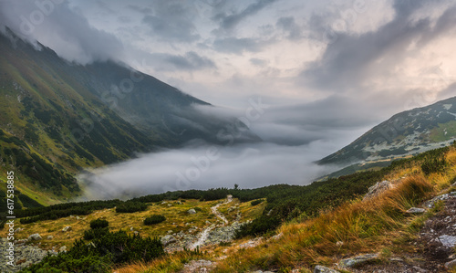 Fototapeta Naklejka Na Ścianę i Meble -  Mountains Landscape with Fog in Ziarska Valley
