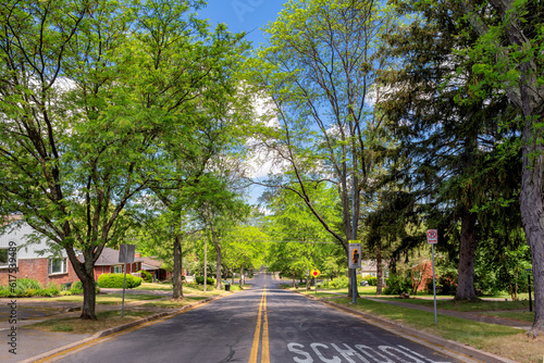 Obraz na płótnie Green trees on the road in a small town on a sunny summer day, State College, Pennsylvania. w salonie