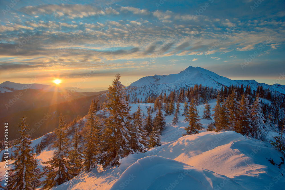 Carpathian mountains in winter, sunrise and sunset, trees covered with white snow, dramatic sky