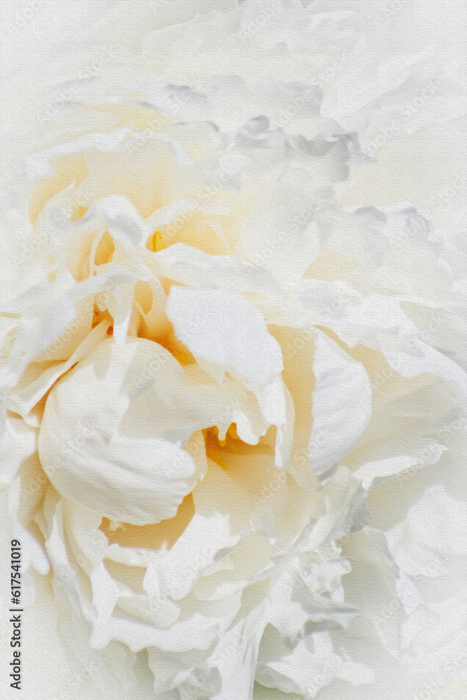 PHOTO-ILLUSTRATION-Pretty White Peony Bloom–Nursery, Landscaping, Flowering & Ornamental Trees & Bushes, Gardening, Club, Arborist, Party, Invitation, Botany, Background, Backdrop, Flier, Poster, Ad, 