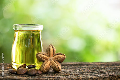 Plukenetia volubilis or Sacha inchi fruit ,seeds and oil on nature background. photo