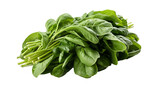 Fresh spinach (Spinacia oleracea) PNG on transparent background. Generative AI