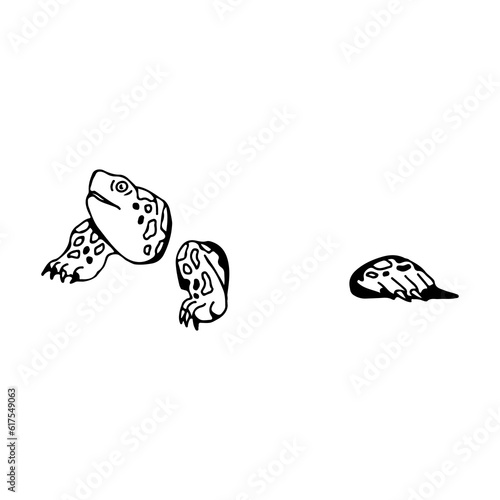 turtle illustration vector with concept