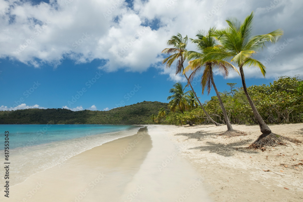 The amazing Magens bay beach in St. Thomas US virgin islands in the Caribbean sea