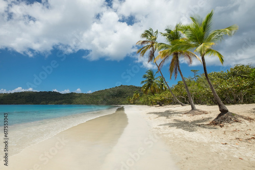 The amazing Magens bay beach in St. Thomas US virgin islands in the Caribbean sea