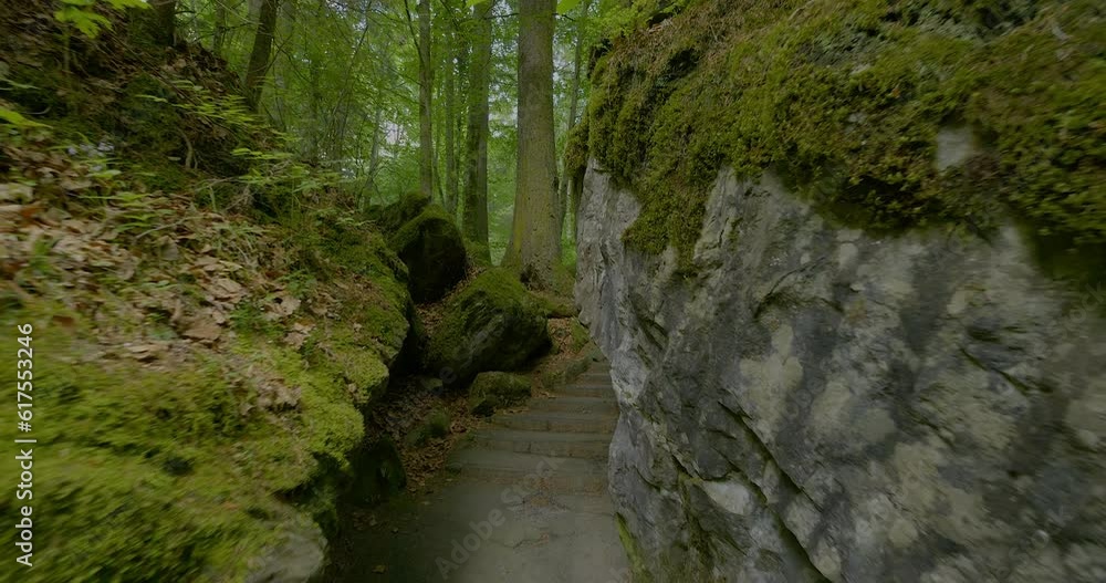 Stone Cave Rocks in Green Moss Covered Forest Landscape