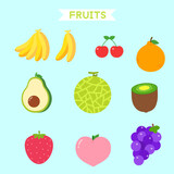 fruits illustration