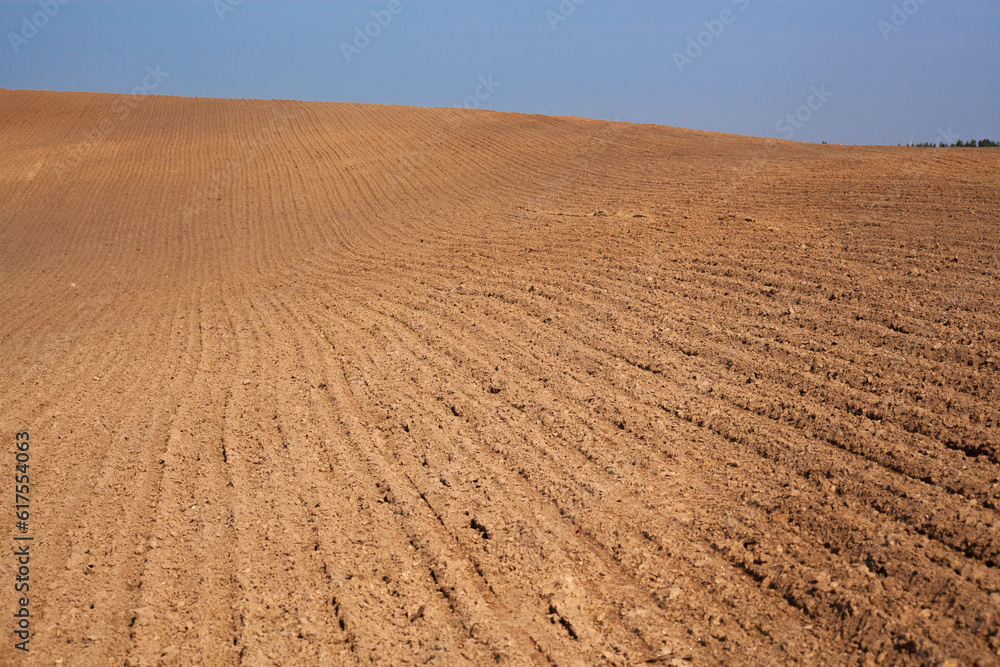 Naklejka premium Rural landscape. Row plowed field with cereals sown or prepared field for planting against blue sky. Agricultural land.