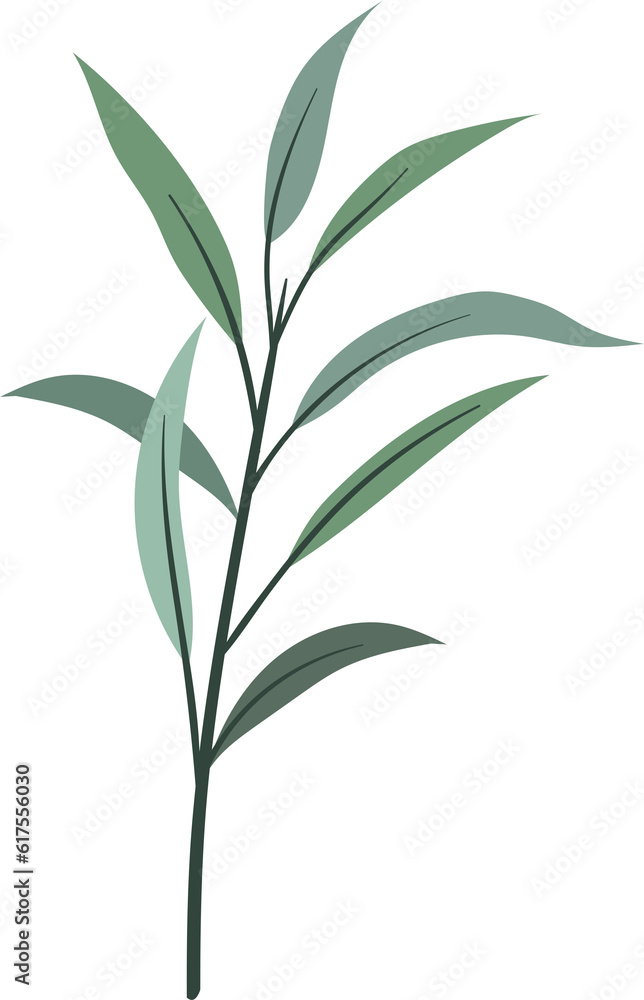 Obraz premium plant leaves 214