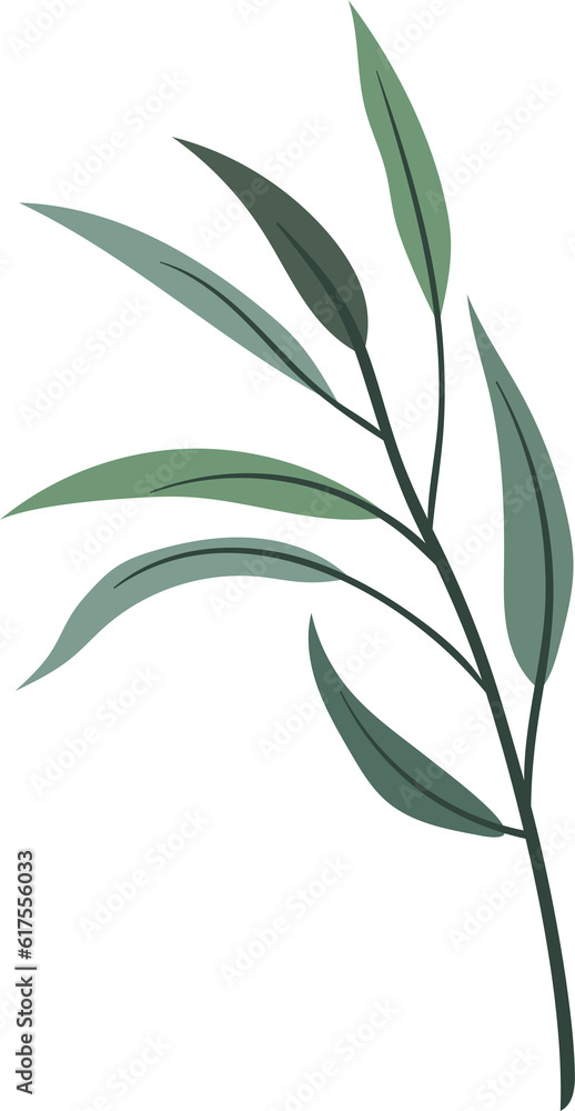 Fototapeta premium plant leaves 212